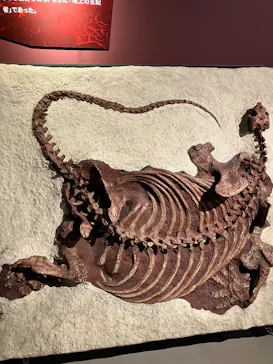 特別展「大絶滅展―生命史のビッグファイブ」に投稿された画像（2026/2/20）