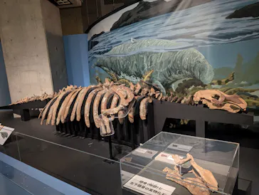 特別展「大絶滅展―生命史のビッグファイブ」に投稿された画像（2026/2/20）