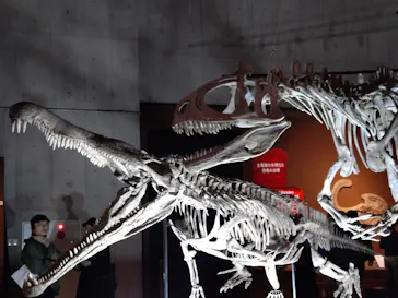 特別展「大絶滅展―生命史のビッグファイブ」に投稿された画像（2026/2/20）