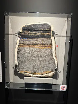 特別展「大絶滅展―生命史のビッグファイブ」に投稿された画像（2026/2/20）