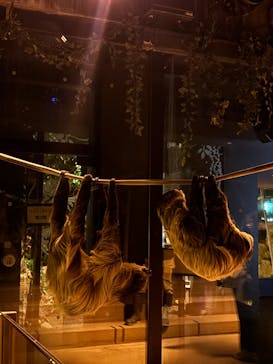 カワスイ 川崎⽔族館に投稿された画像（2026/2/20）