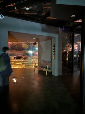 カワスイ 川崎⽔族館に投稿された画像（2026/2/20）