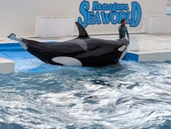 鴨川シーワールドに投稿された画像（2026/2/20）