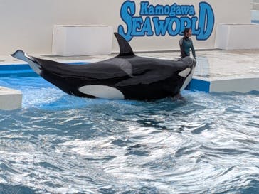 鴨川シーワールドに投稿された画像（2026/2/20）