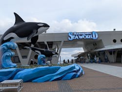 鴨川シーワールドに投稿された画像（2026/2/20）