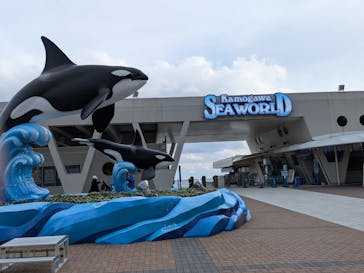 鴨川シーワールドに投稿された画像（2026/2/20）