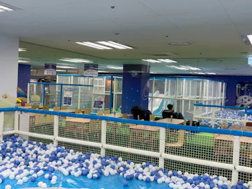 キッズランドUS 神奈川厚木店に投稿された画像（2026/2/20）