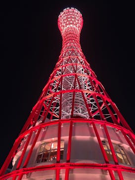 神戸ポートタワーに投稿された画像（2026/2/20）