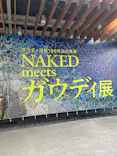 NAKED meets ガウディ展に投稿された画像（2026/2/21）