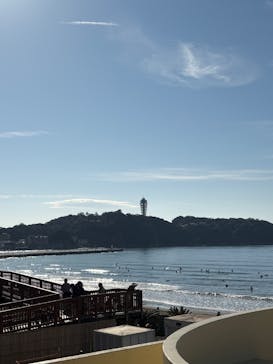 新江ノ島水族館に投稿された画像（2026/2/20）