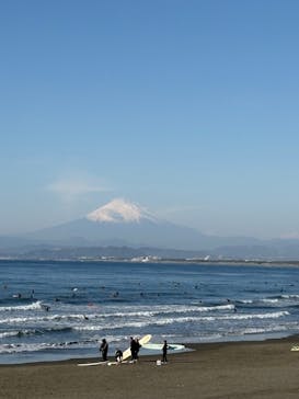 新江ノ島水族館に投稿された画像（2026/2/20）