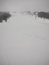 由利高原鉄道株式会社に投稿された画像（2026/2/20）