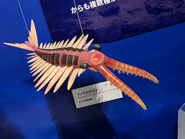 特別展「大絶滅展―生命史のビッグファイブ」に投稿された画像（2026/2/20）