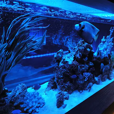 オーシャンスパ Fuuaに投稿された画像（2026/2/20）