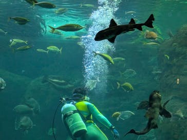 新江ノ島水族館に投稿された画像（2026/2/21）