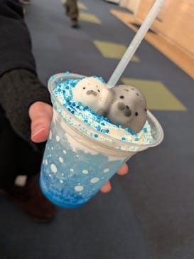 新江ノ島水族館に投稿された画像（2026/2/21）