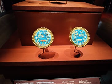 CREVIA マチュピチュ展／CREVIA MACHU PICCHU AND THE GOLDEN EMPIRES OF PERUに投稿された画像（2026/2/21）