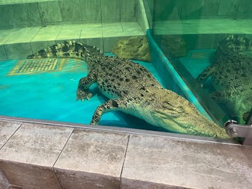 NIFREL（ニフレル）に投稿された画像（2026/2/21）