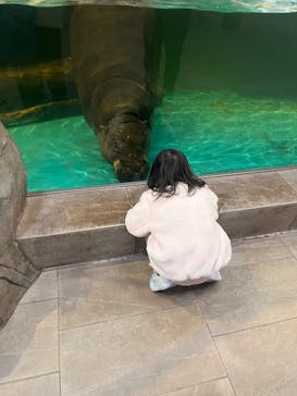 NIFREL（ニフレル）に投稿された画像（2026/2/21）