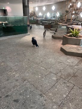 NIFREL（ニフレル）に投稿された画像（2026/2/21）