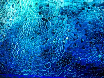 NAKED meets ガウディ展に投稿された画像（2026/2/21）