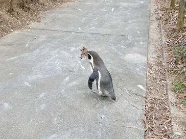 こども動物自然公園（埼玉県公園緑地協会）に投稿された画像（2026/2/21）