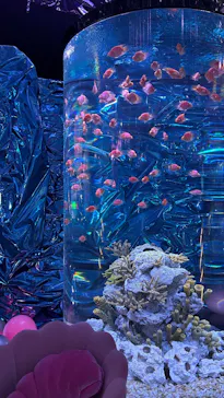 ひらかたパークに投稿された画像（2026/2/21）