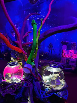 ひらかたパークに投稿された画像（2026/2/21）