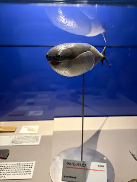 特別展「大絶滅展―生命史のビッグファイブ」に投稿された画像（2026/2/21）
