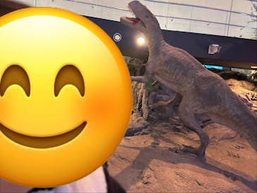 福井県立恐竜博物館に投稿された画像（2026/2/21）