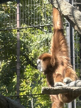 恩賜上野動物園に投稿された画像（2026/2/21）