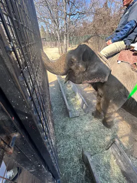 那須サファリパークに投稿された画像（2026/2/21）