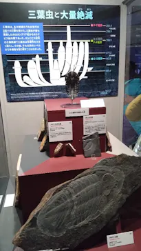 特別展「大絶滅展―生命史のビッグファイブ」に投稿された画像（2026/2/21）