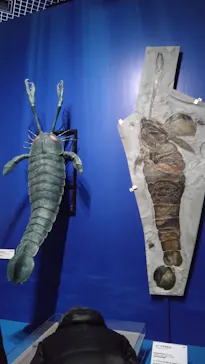 特別展「大絶滅展―生命史のビッグファイブ」に投稿された画像（2026/2/21）