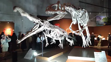 特別展「大絶滅展―生命史のビッグファイブ」に投稿された画像（2026/2/21）