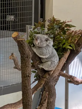 多摩動物公園に投稿された画像（2026/2/21）