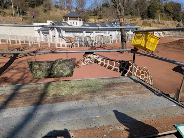 多摩動物公園に投稿された画像（2026/2/21）