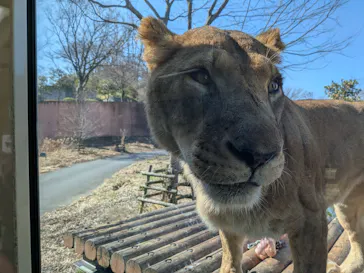 多摩動物公園に投稿された画像（2026/2/21）