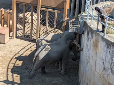 多摩動物公園に投稿された画像（2026/2/21）