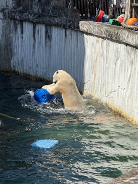 名古屋市東山動植物園に投稿された画像（2026/2/21）