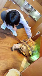 Moff animal cafe 小田原ダイナシティ店に投稿された画像（2026/2/21）