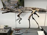 福井県立恐竜博物館に投稿された画像（2026/2/21）