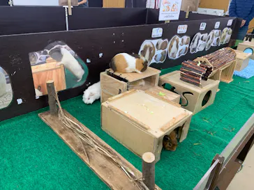 天王寺動物園に投稿された画像（2026/2/21）