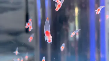 横浜・八景島シーパラダイスに投稿された画像（2026/2/21）