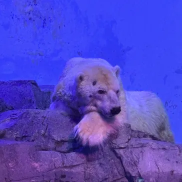 横浜・八景島シーパラダイスに投稿された画像（2026/2/21）