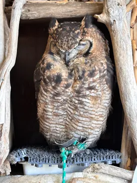 横浜・八景島シーパラダイスに投稿された画像（2026/2/21）