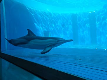 大分マリーンパレス水族館 「うみたまご」に投稿された画像（2026/2/21）