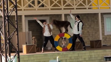 つくばわんわんランドに投稿された画像（2026/2/21）