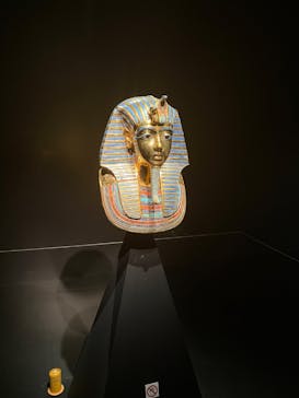 MYSTERY OF TUTANKHAMEN 体感型古代エジプト展に投稿された画像（2026/2/21）