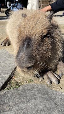 長崎バイオパークに投稿された画像（2026/2/21）
